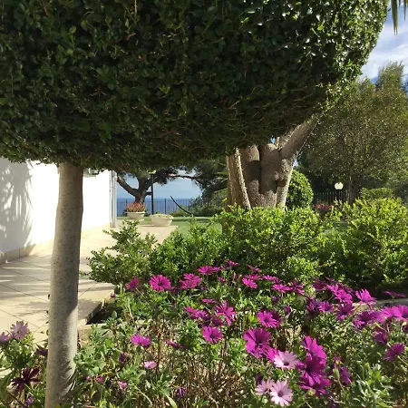 Shambhala فيلة *